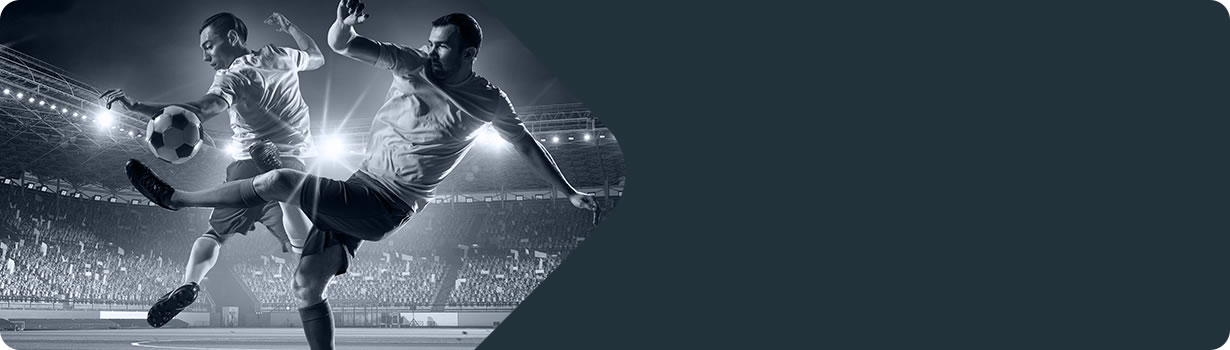 hardest sudoku puzzles
