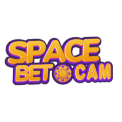 how to play sudoku video
